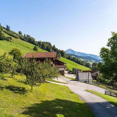 Anderla 1 Apartment Wildschoenau Luaran gambar