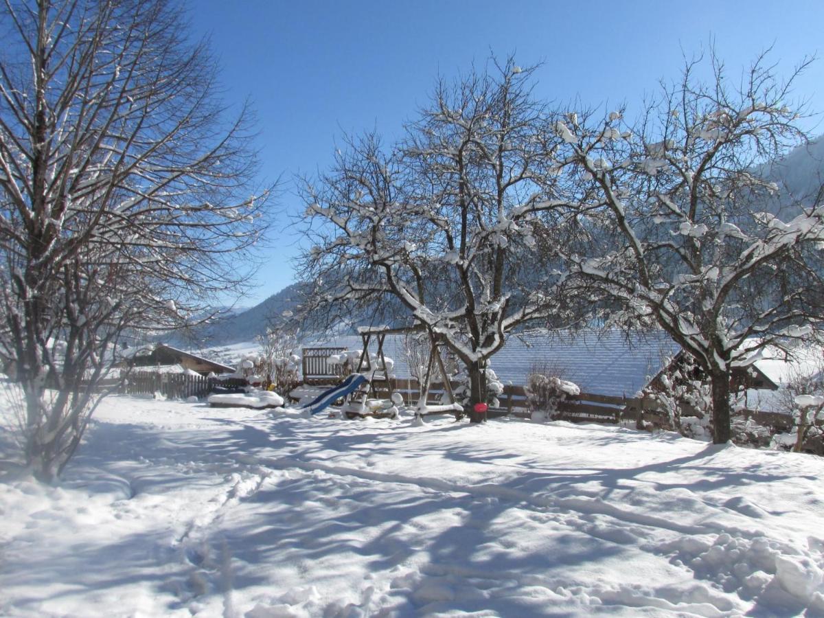 Anderla 1 Apartment Wildschoenau Luaran gambar